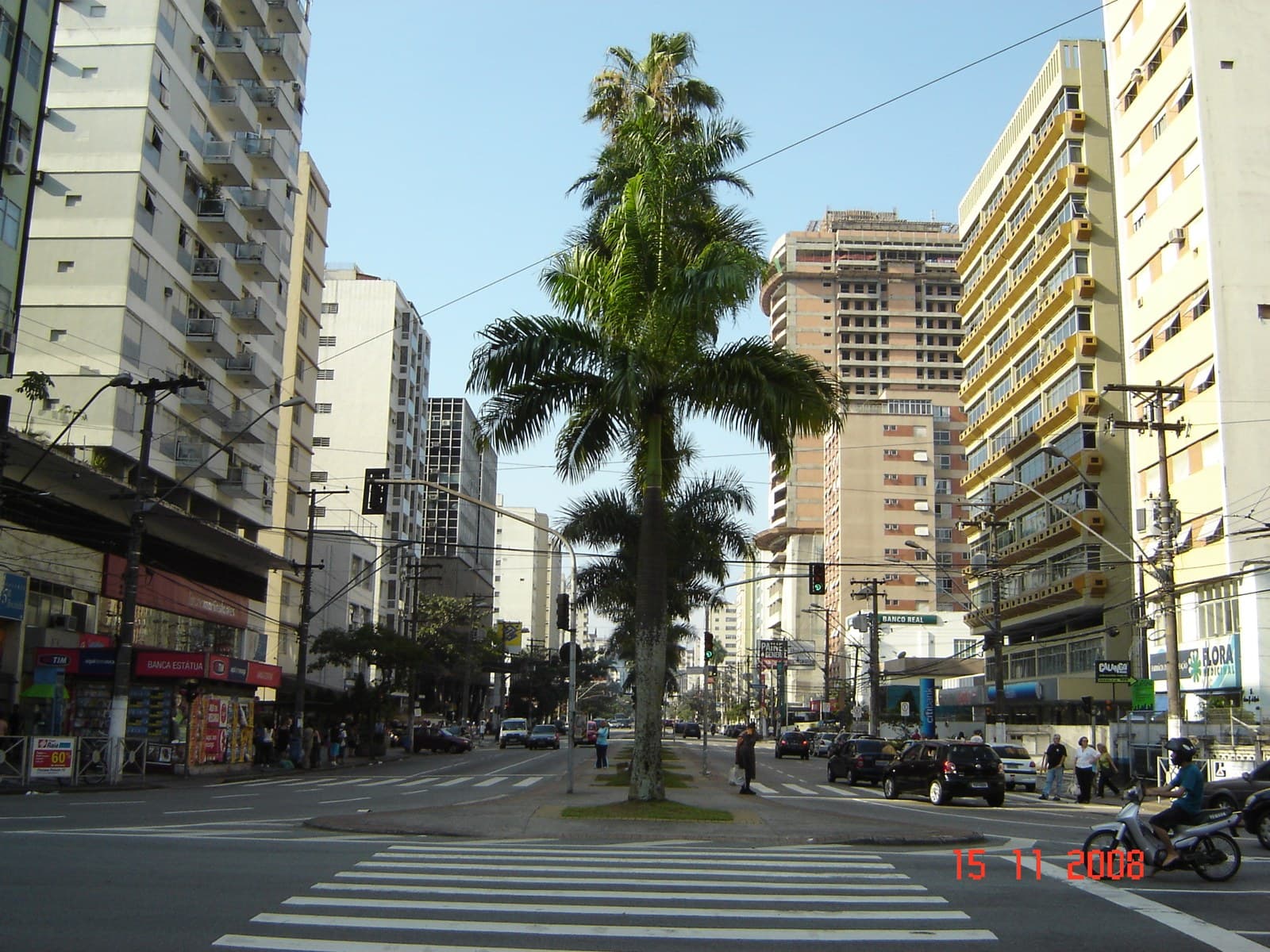 Avenida Ana Costa: a espinha que liga o centro de Santos à praia