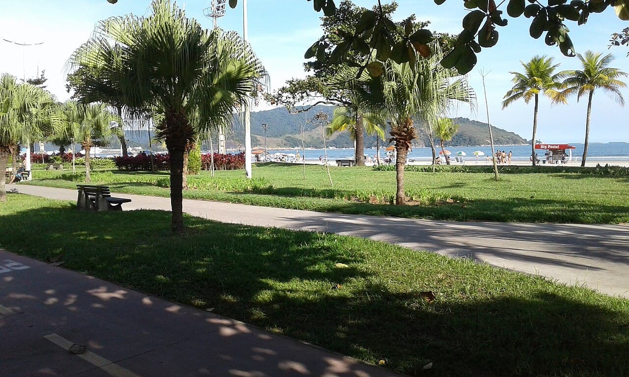 Jardim da praia de Santos na altura da Aparecida, com palmeiras, ciclovia e o mar ao fundo