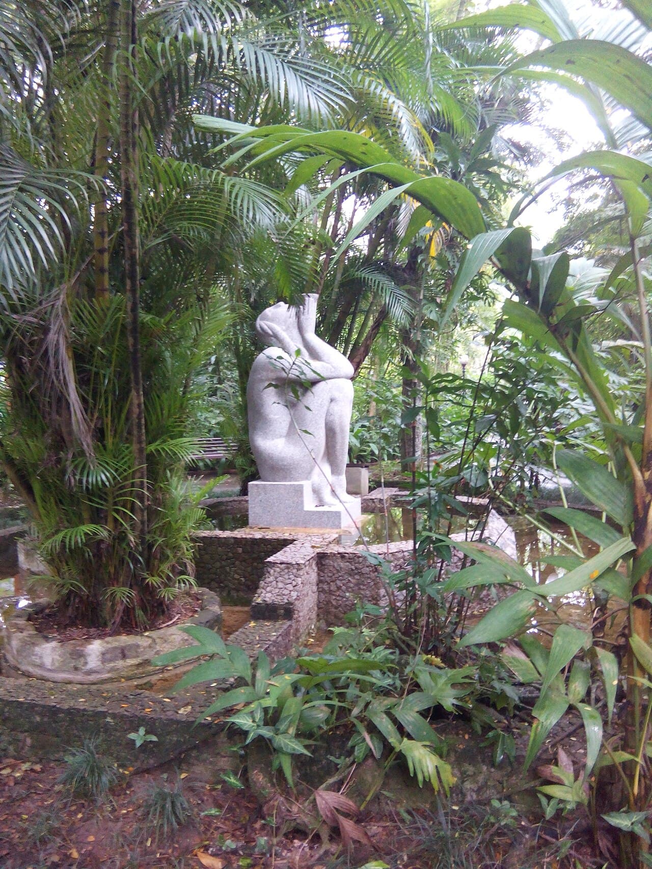 Trilha e vegetação de Mata Atlântica no Orquidário Municipal de Santos