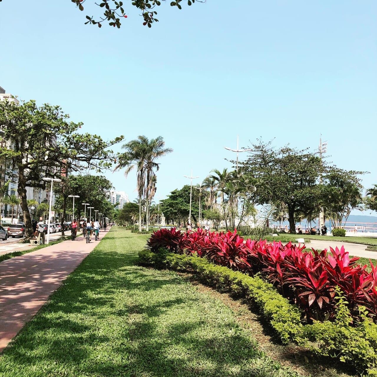 Jardins da orla de Santos com a ciclovia, os canteiros floridos e a linha de prédios ao fundo